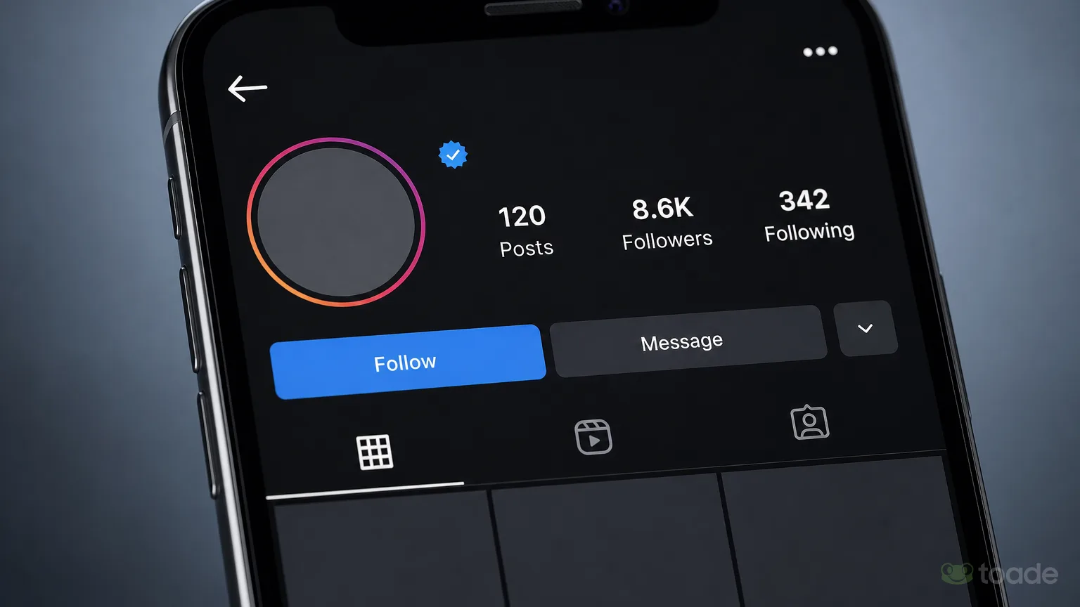 Instagram profilindeki mavi tik doğrulama rozeti